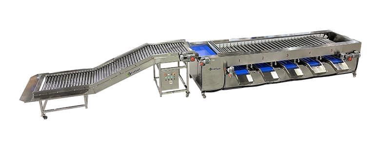 images/1717576069112eggplant sorting grading machine.jpg